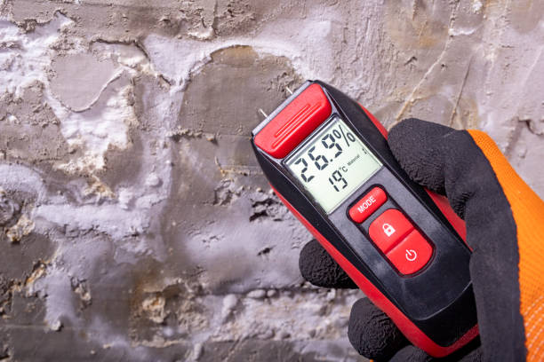 Best Emergency Mold Removal  in Concord, NH